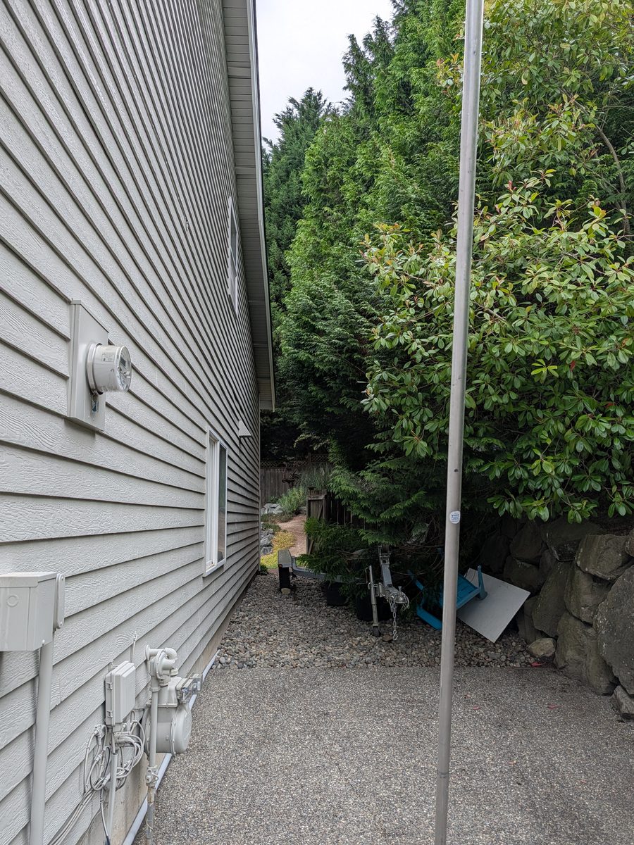 The side yard grown shut at 09:33